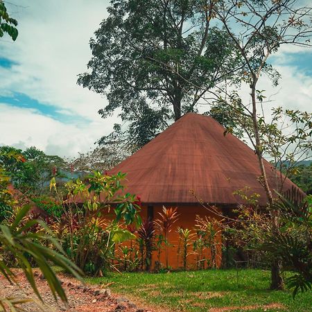 Huasquila Amazon Lodge Cotundo 외부 사진