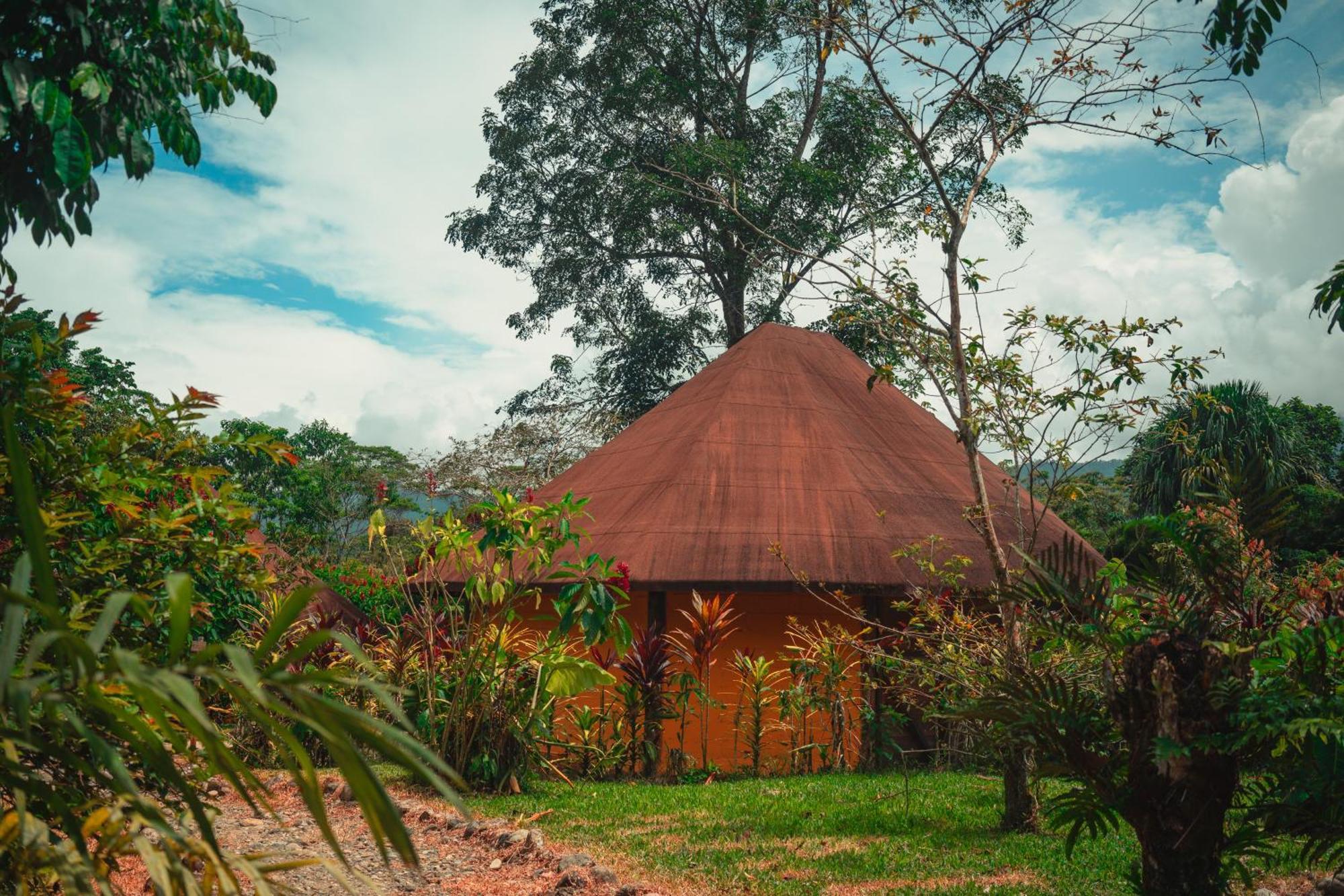 Huasquila Amazon Lodge Cotundo 외부 사진